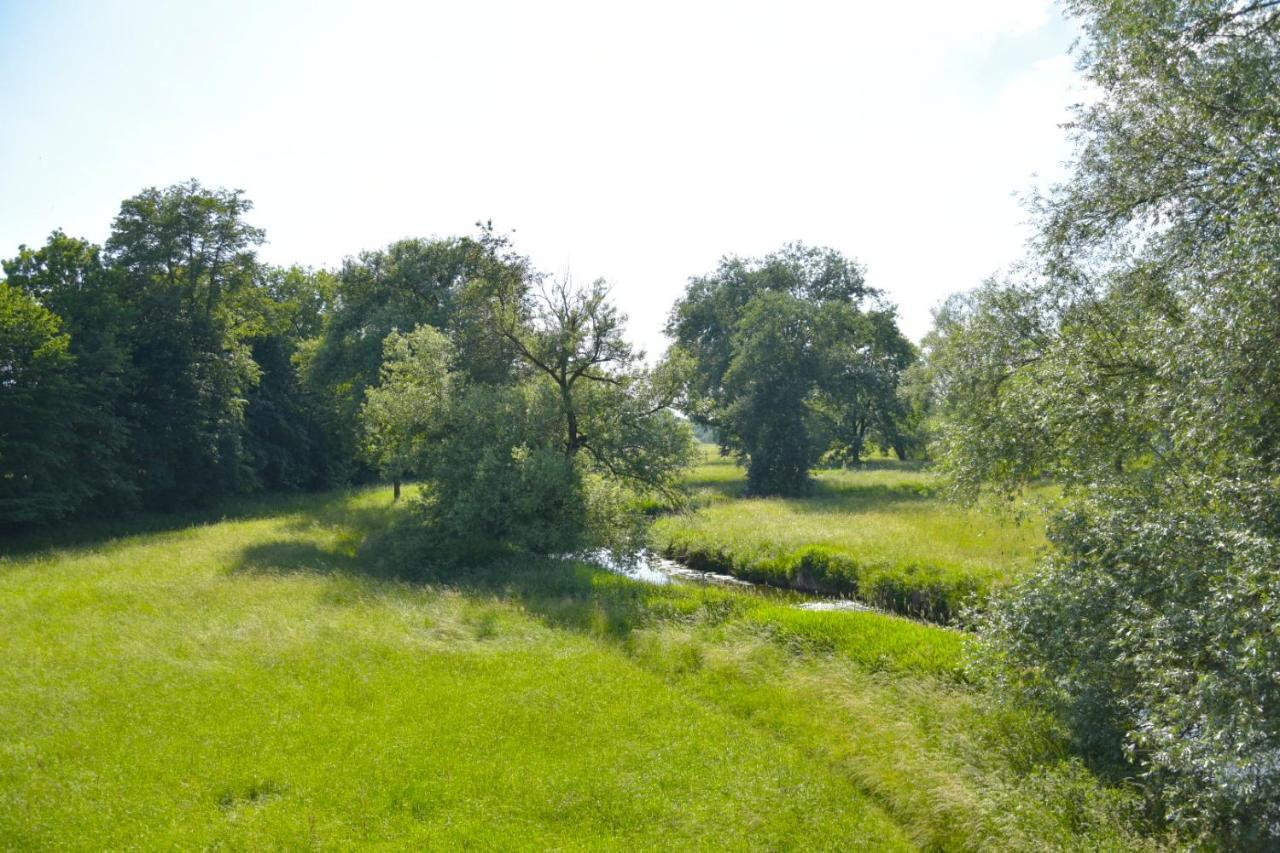 White Midsommar - Stilvolle Wohnung, 3 Schlafzimmer, Wohnzimmer, Kueche Landshut Exteriér fotografie